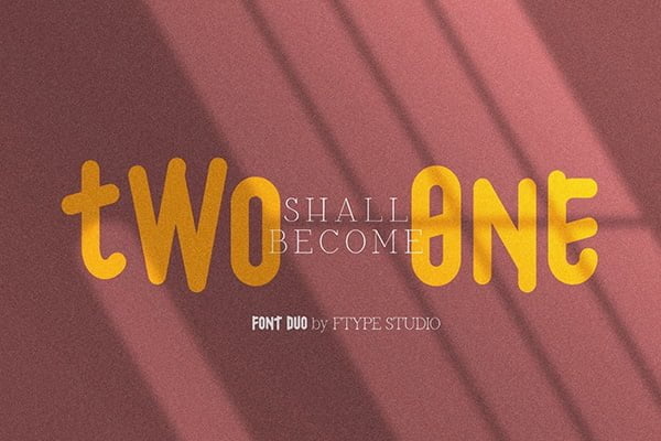 TwoOne Font Duo